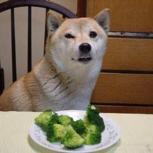 Meet your Posher, Vivien